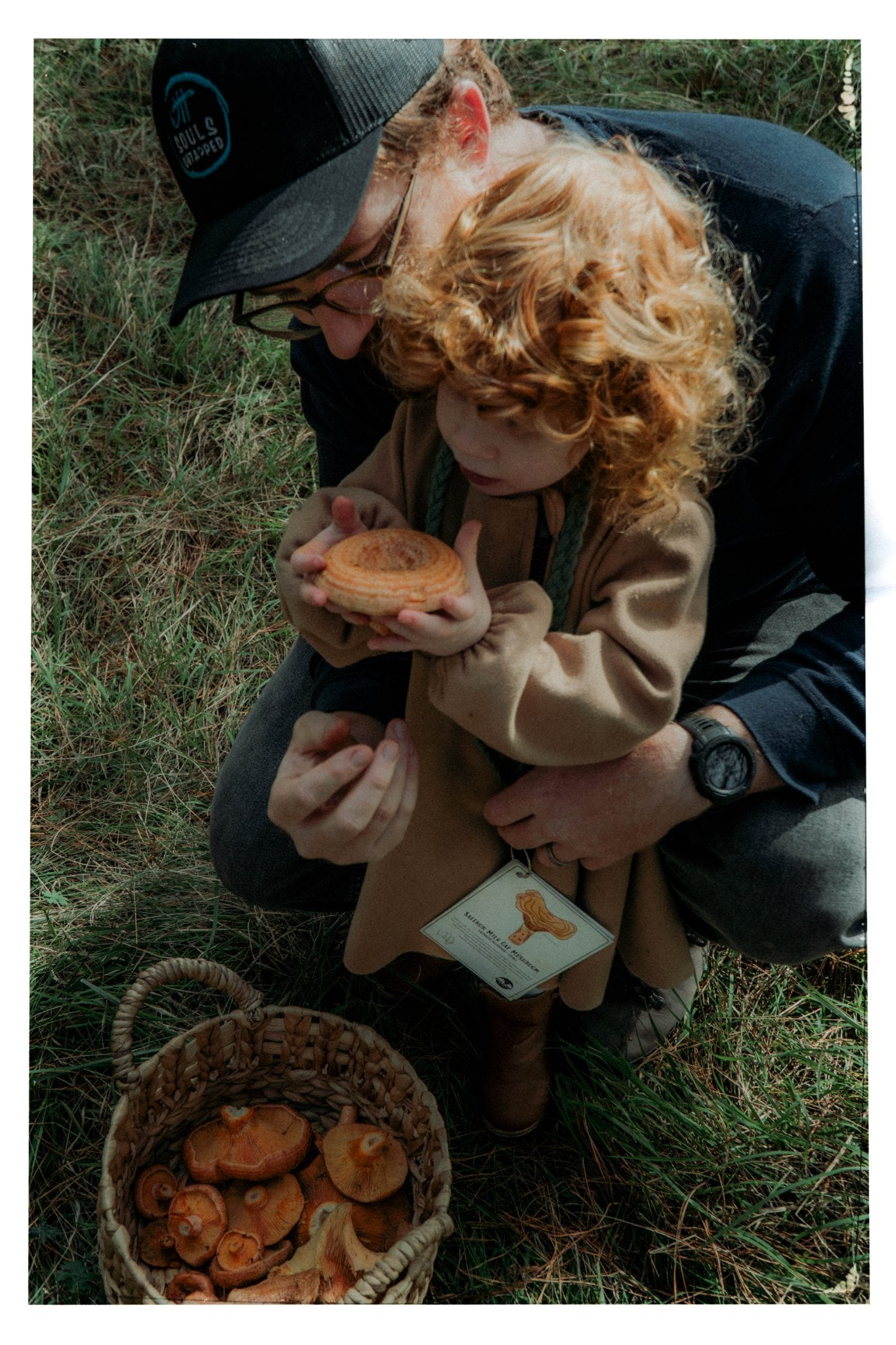 Australian Nature Cards - Pine Forest Edition