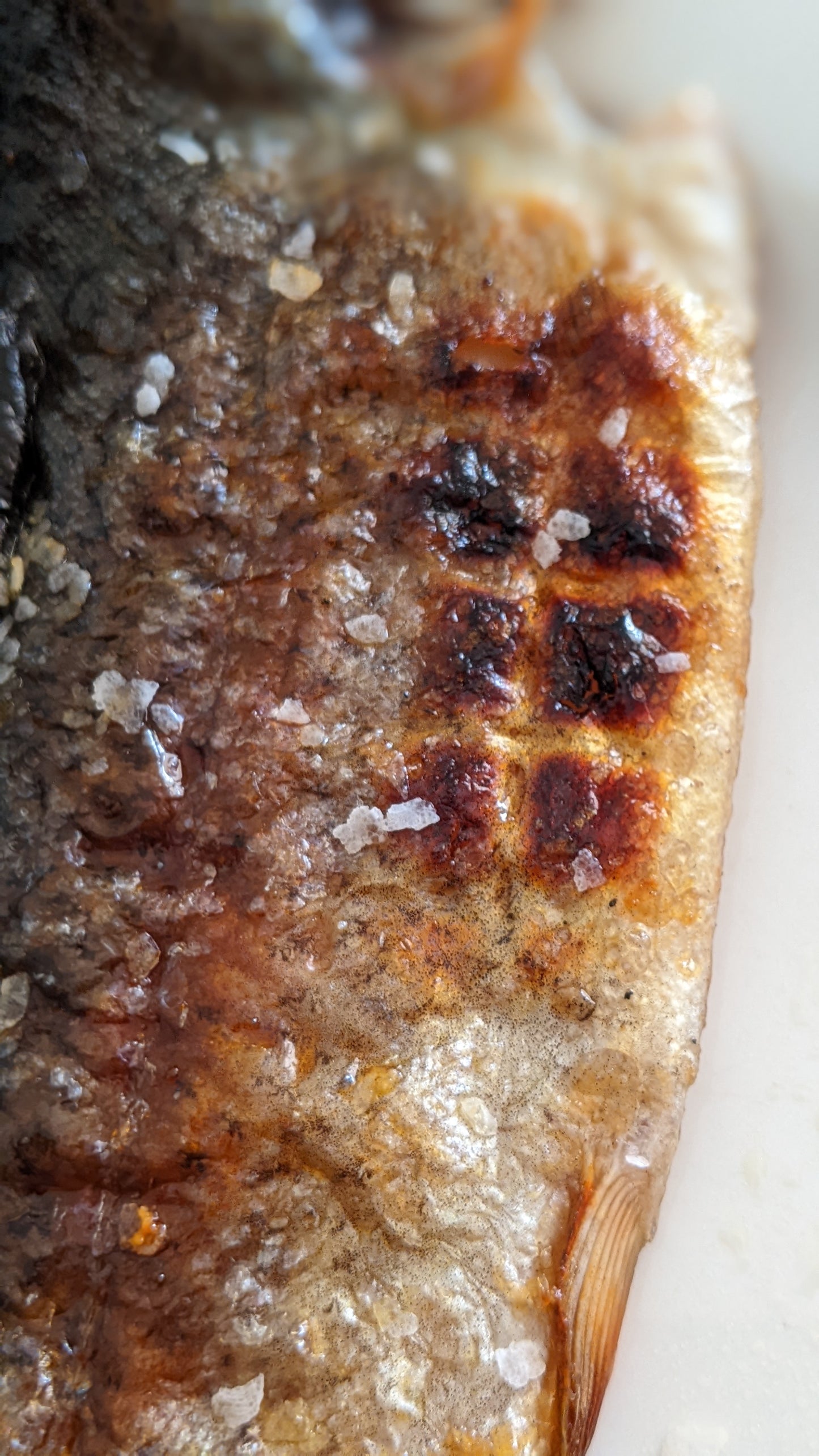 Finishing Salt - Smoked Over Banksia Pods