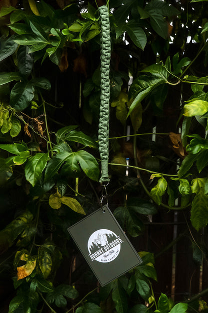 Australian Nature Cards - Pine Forest Edition