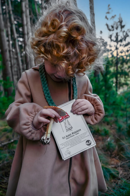 Australian Nature Cards - Pine Forest Edition