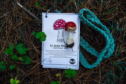 Australian Nature Cards - Pine Forest Edition