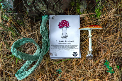 Australian Nature Cards - Pine Forest Edition