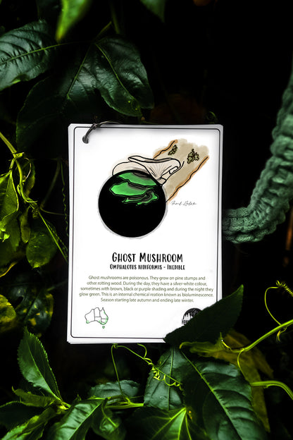 Australian Nature Cards - Pine Forest Edition
